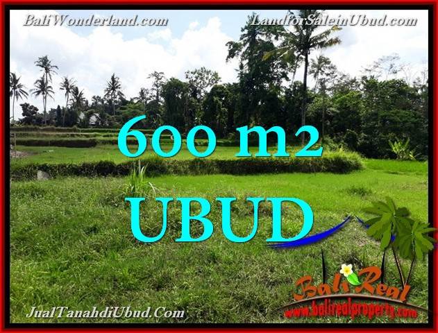 Tanah Murah Dijual Di Ubud Bali M Di Ubud Pejeng Rumah Jual