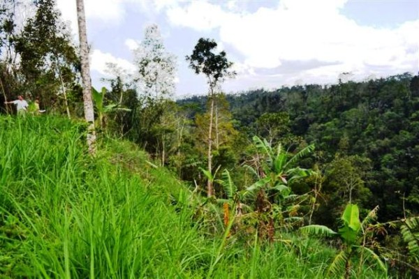 Tanah dijual di Payangan Ubud – T1001