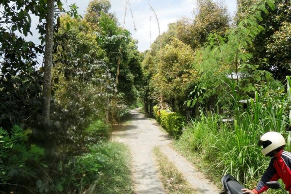 Dijual tanah di Singaraja, Bali – T1037