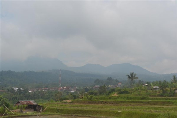 Dijual tanah di baturiti tabanan Bali view sawah dan gunung (TJBE032)