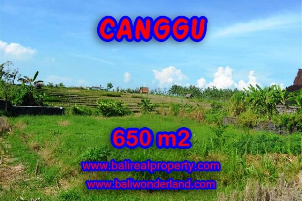 Tanah di Canggu Bali dijual View sawah di Canggu Batu Bolong