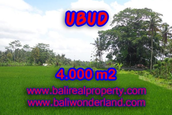 Tanah di Ubud dijual TJUB327 view sawah dan gunung di Ubud Tegalalang