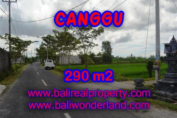 JUAL TANAH DI CANGGU BALI MURAH RP 3.950.000 / M2 – TJCG141