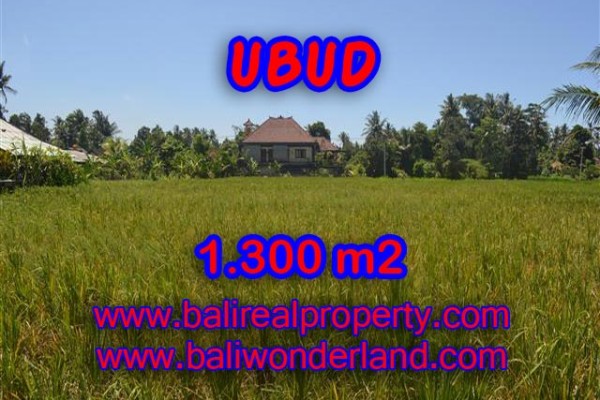 TANAH DIJUAL DI UBUD BALI TJUB386 – PELUANG INVESTASI PROPERTY DI BALI