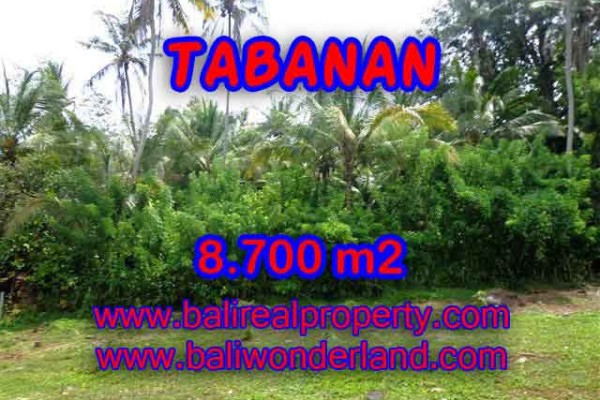 JUAL TANAH DI TABANAN BALI TJTB115