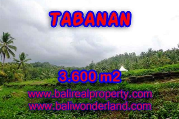 Tanah dijual di Tabanan Bali view hutan dan sawah 