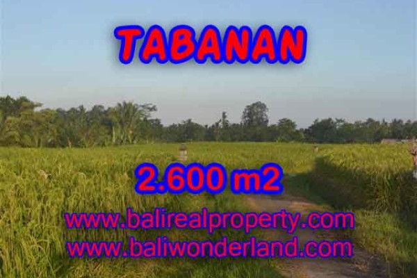 DIJUAL MURAH TANAH DI TABANAN TJTB129 – PELUANG INVESTASI PROPERTY DI BALI