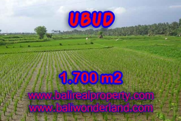 INVESTASI PROPERTI DI BALI – DIJUAL TANAH MURAH DI UBUD TJUB398