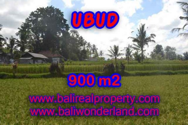 INVESTASI PROPERTI DI BALI – DIJUAL TANAH DI BALI, MURAH DI UBUD TJUB412