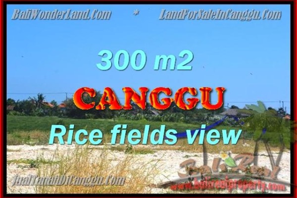 TANAH MURAH  di CANGGU BALI DIJUAL 300 m2  View Sawah