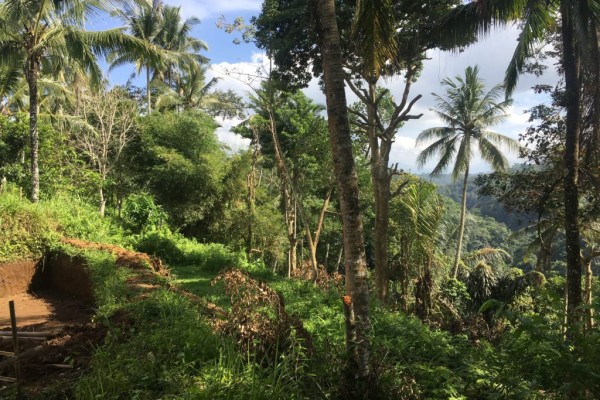 Tanah Dijual Murah di Teras Ayung Ubud dengan View Sungai