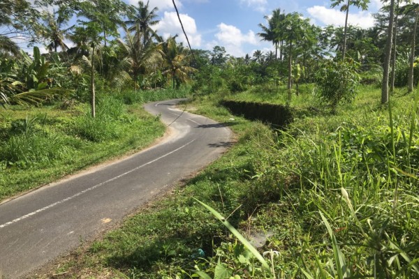 Tanah Cantik Dijual Murah di Teras Ayung Ubud cocok untuk Villa