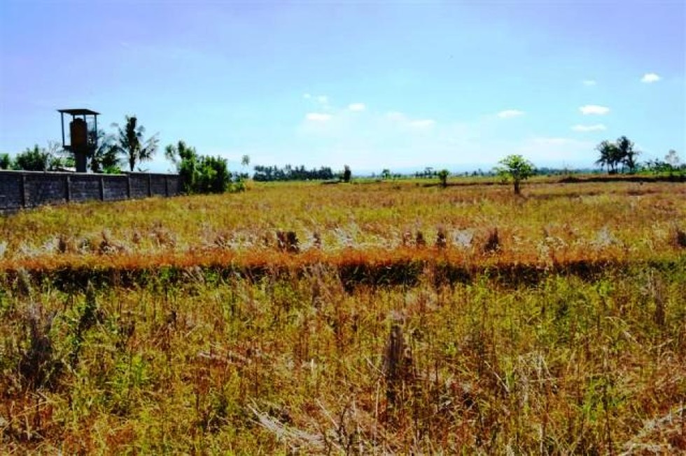 Disewakan tanah di gianyar Lingkungan sawah – T1019