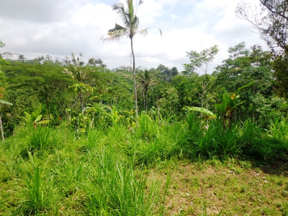 Tanah dijual di Ubud Bali view cantik harga menarik – TJUB133