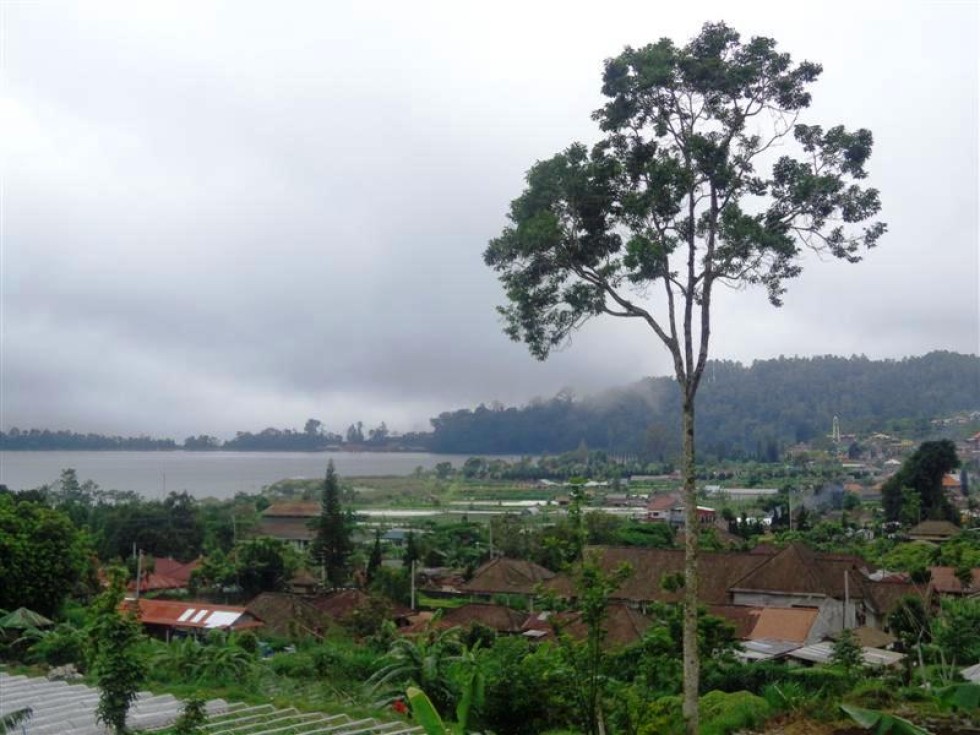 Dijual Tanah murah di Bedugul Bali,view gunung dan danau beratan TJBE029