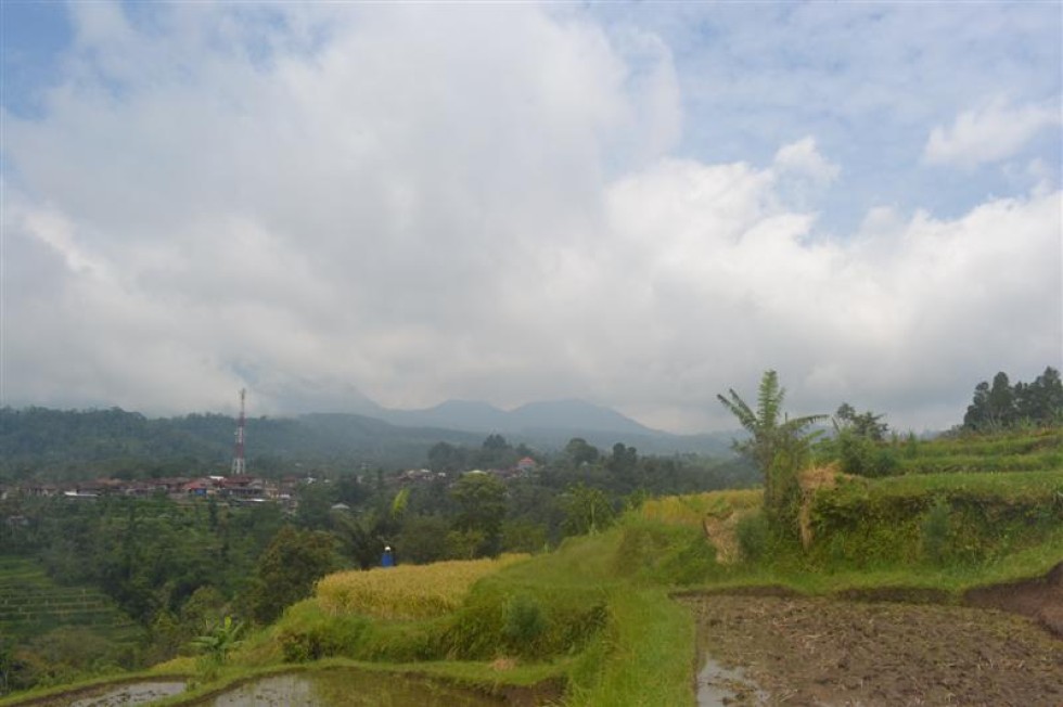 Dijual tanah di baturiti tabanan Bali, view sawah dan gunung (TJBE033)