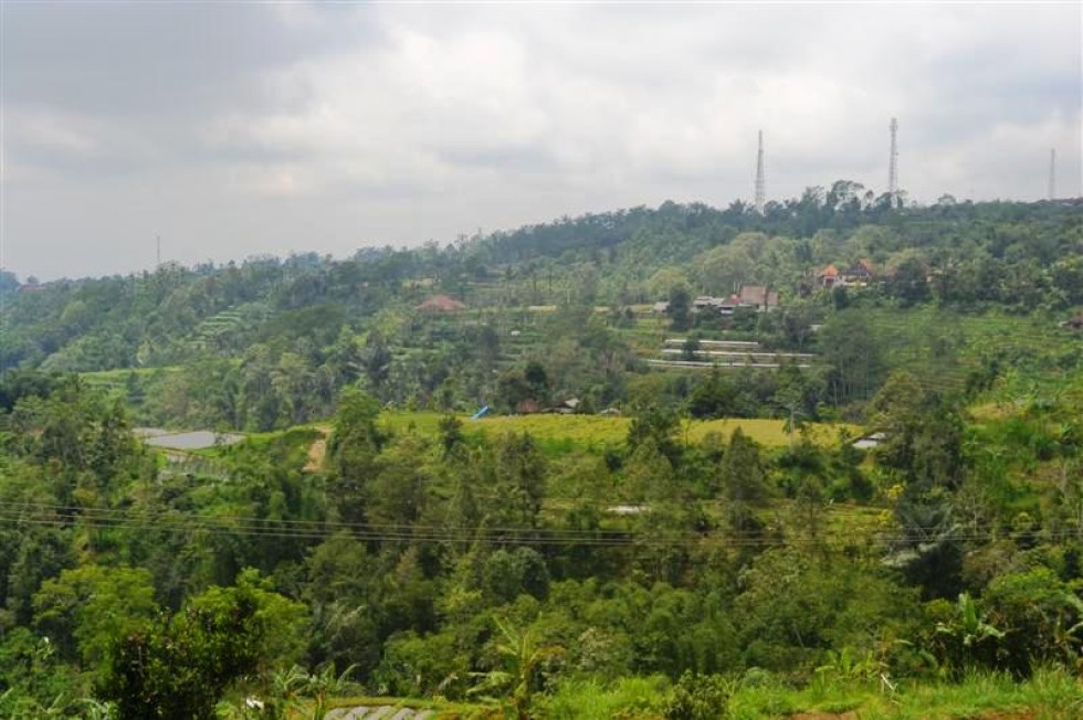 Dijual tanah di Baturiti Tabanan Bali, di Bedugul view fenomenal (TJBE034)