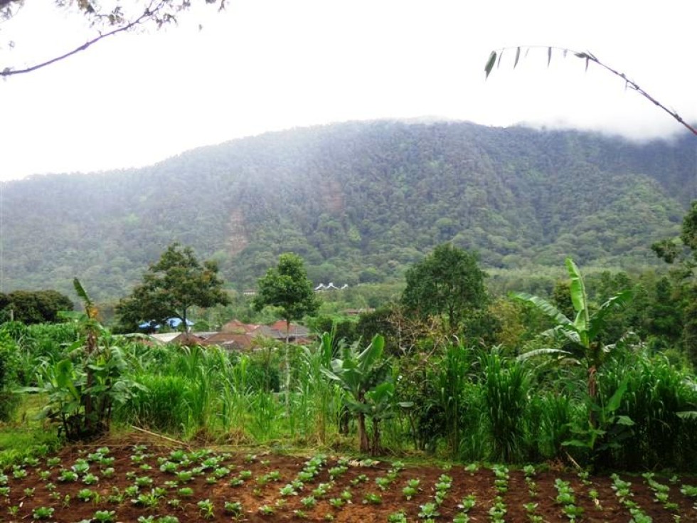 Tanah dijual di Bedugul Tabanan Bali 7,85 are view Gunung TJBE028