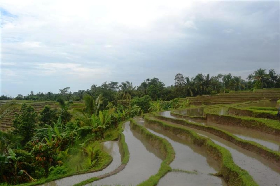 Tanah dijual di Tabanan Bali view sawah terasering – TJTB018