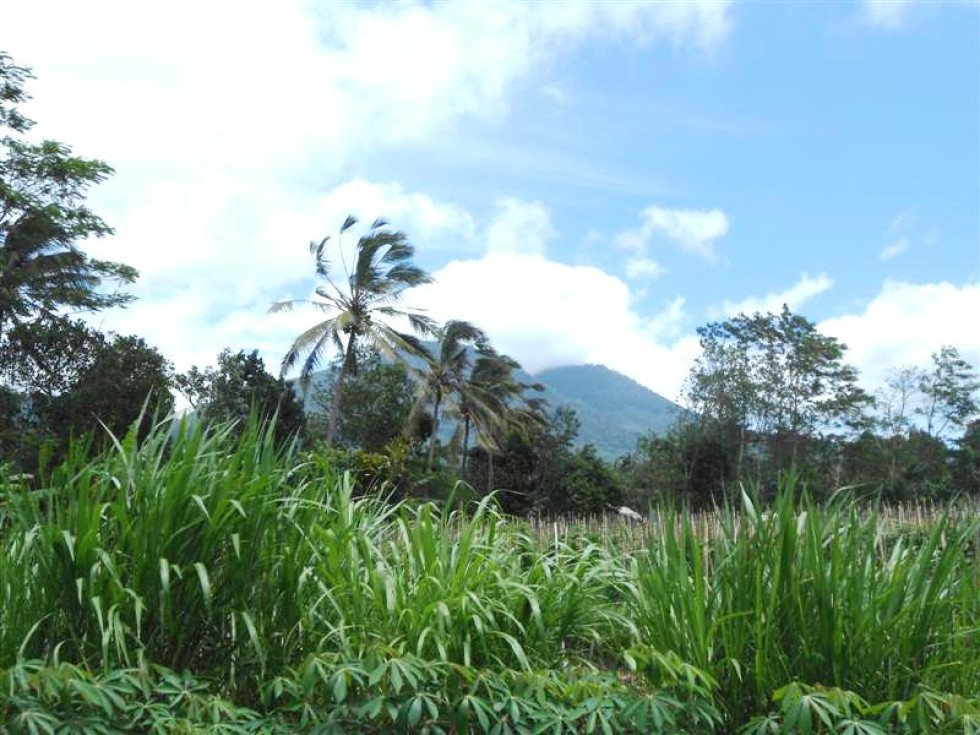 Tanah dijual di Tabanan Bali lahan datar dengan view gunung – TJTB033