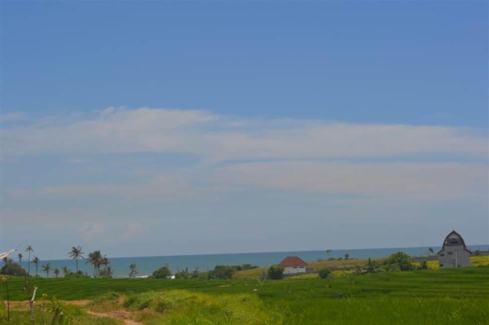 Tanah dijual di Tabanan Bali dengan pemandangan sawah – TJTB024