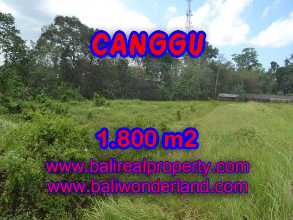 Jual tanah di Bali View sawah 1.800 m2 di Canggu Batu Bolong