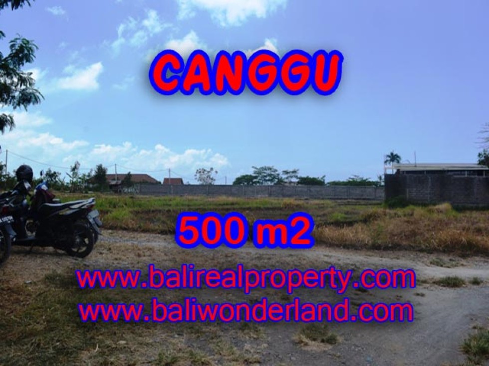 Jual tanah di Canggu TJCG122 View sawah di Batu Bolong