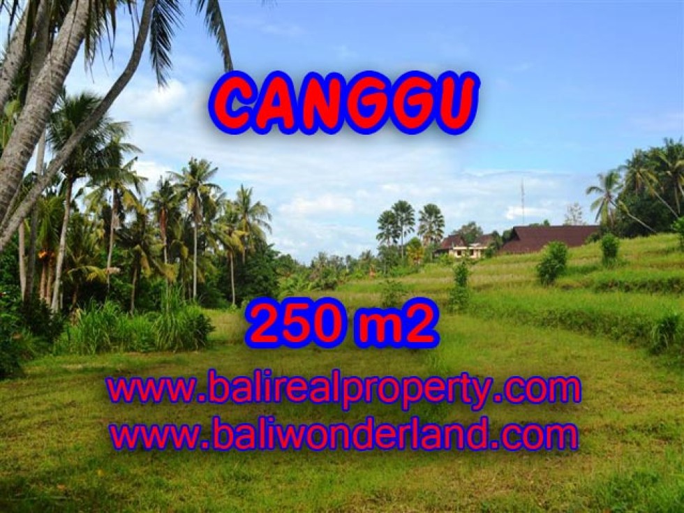 Tanah dijual di Canggu 250 m2 di Canggu Pererenan Bali