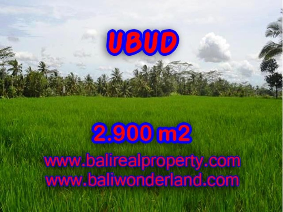 Tanah di Ubud dijual View sawah 29 Are di Ubud Payangan