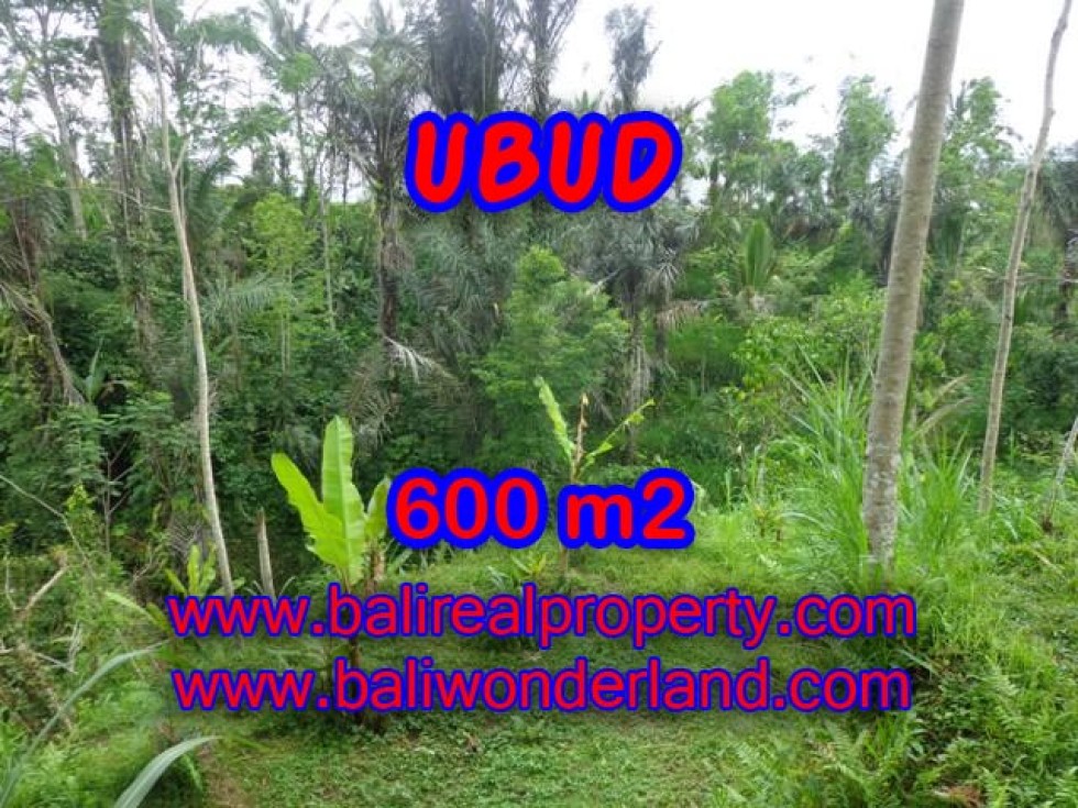 TANAH DIJUAL DI UBUD -VIEW SAWAH di UBUD TEGALALANG Bali