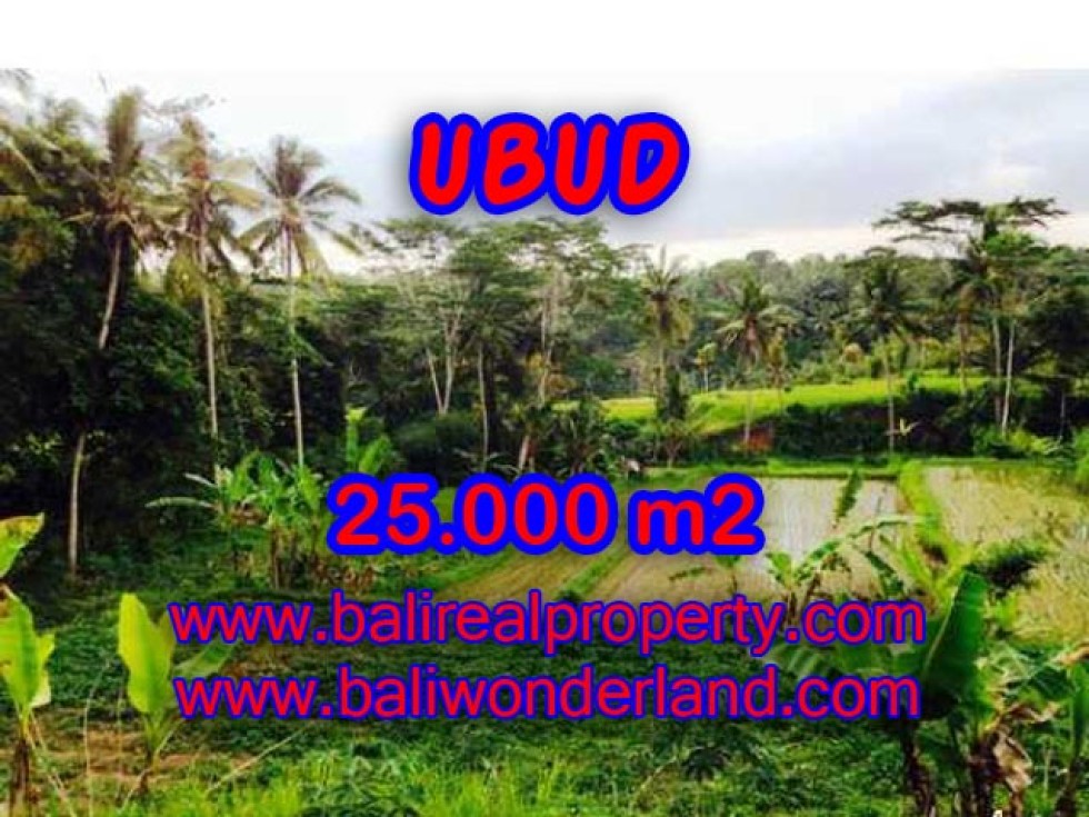 Tanah di Ubud dijual 250 Are View sawah, Tebing dan Sungai Ayung di Dekat sentral Ubud TJUB350