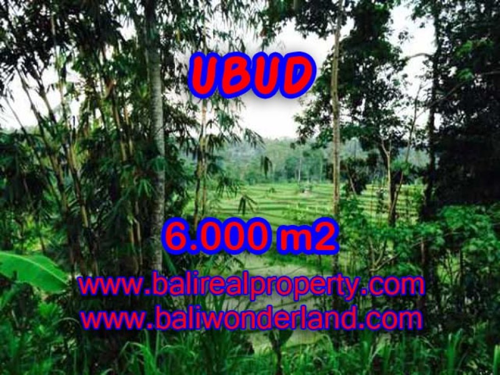 TANAH DIJUAL DI UBUD TJUB349 VIEW SAWAH, TEBING DAN SUNGAI AYUNG DI DEKAT SENTRAL UBUD