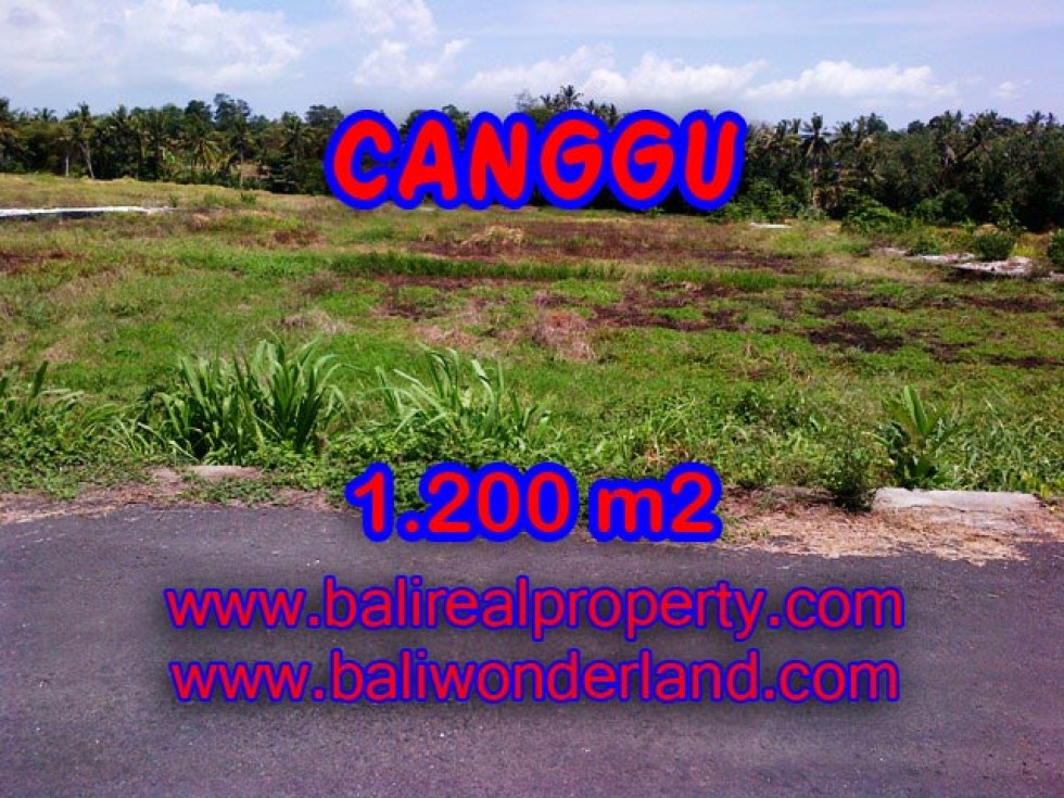 Tanah dijual di Canggu Bali ( TJCG126 )