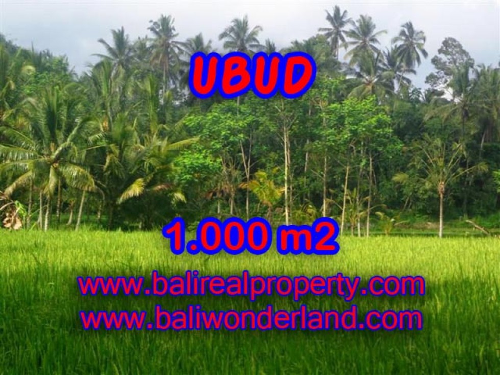 Tanah dijual di Ubud view sawah 1.000 m2 di Ubud Payangan