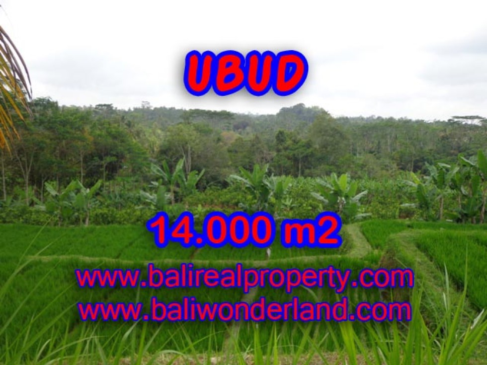 Jual tanah di Ubud 140 Are View sawah, hutan dan sungai di Ubud Payangan