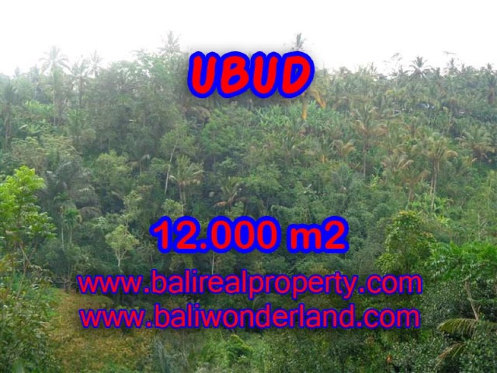 Tanah dijual di Ubud Bali view tebing dan sungai di Ubud Payangan