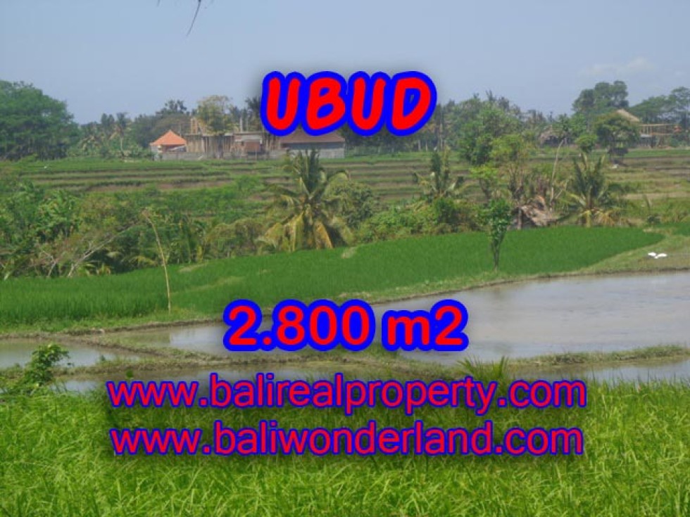 Tanah dijual di Bali 2.800 m2 view gunung dan sawah di Dekat sentral Ubud