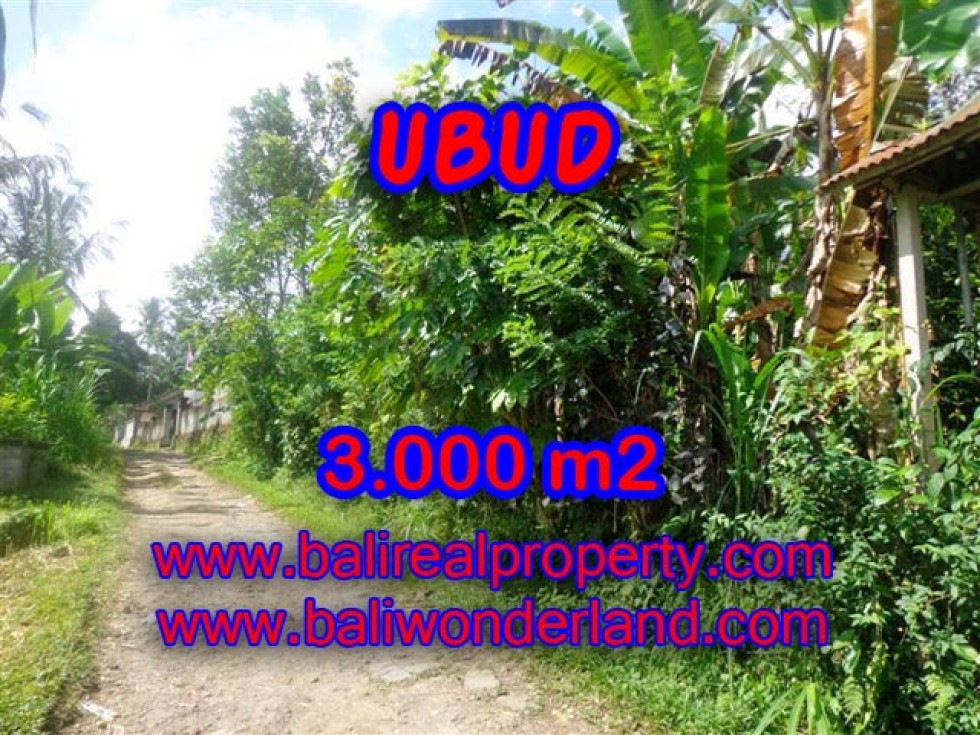 Jual di Ubud Bali view tebing di Ubud Payangan – TJUB303