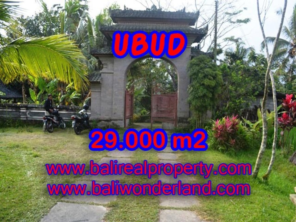 Jual Tanah di Ubud Bali View sungai, sawah dan tebing – TJUB336