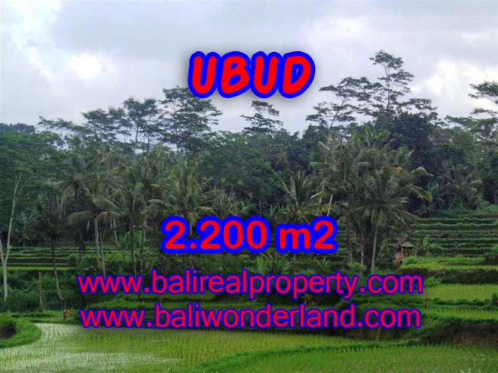 Jual Tanah di Ubud Bali view sawah dan gunung – TJUB306