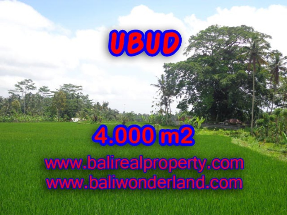 Tanah di Ubud dijual TJUB327 view sawah dan gunung di Ubud Tegalalang