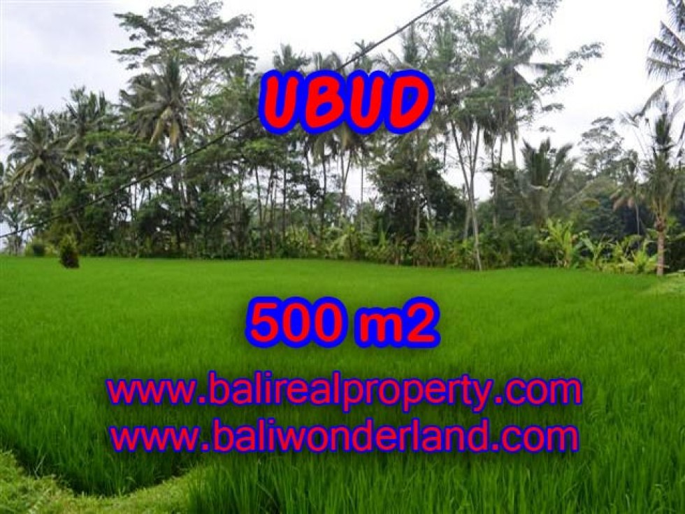 DIJUAL MURAH TANAH DI UBUD BALI TJUB364 – PELUANG INVESTASI PROPERTY DI BALI