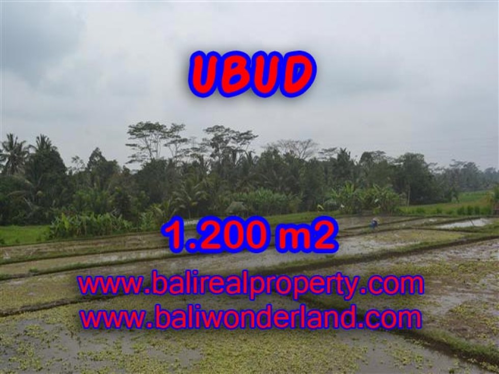 JUAL TANAH DI UBUD BALI TJUB360 – PELUANG INVESTASI PROPERTY DI BALI