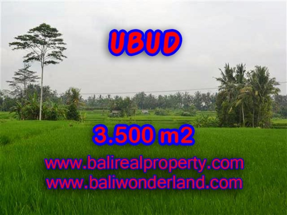 TANAH DIJUAL DI UBUD BALI TJUB361 – PELUANG INVESTASI PROPERTY DI BALI