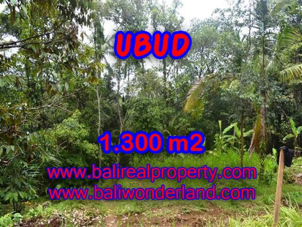 PELUANG INVESTASI PROPERTI DI BALI – TANAH DI UBUD DIJUAL TJUB362