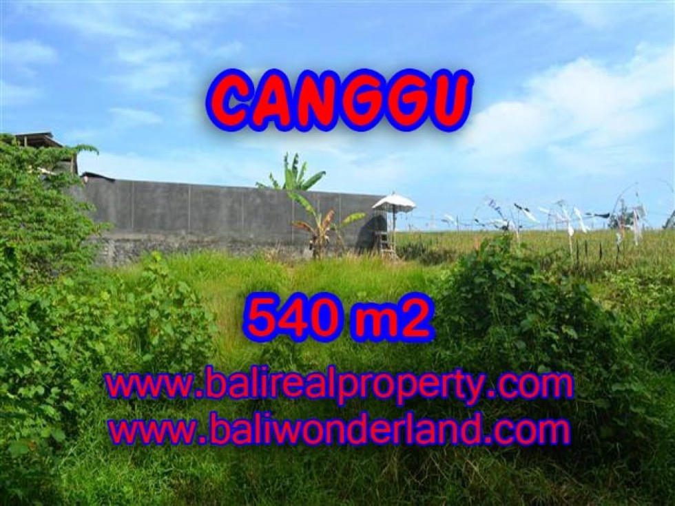 MURAH ! TANAH DI CANGGU BALI RP 4.350.000 / M2 – TJCG131 – INVESTASI PROPERTY DI BALI