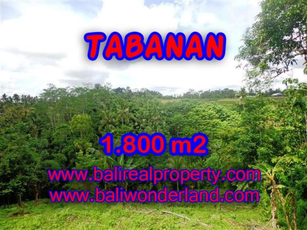 INVESTASI PROPERTI DI BALI – DIJUAL TANAH MURAH DI TABANAN TJTB088