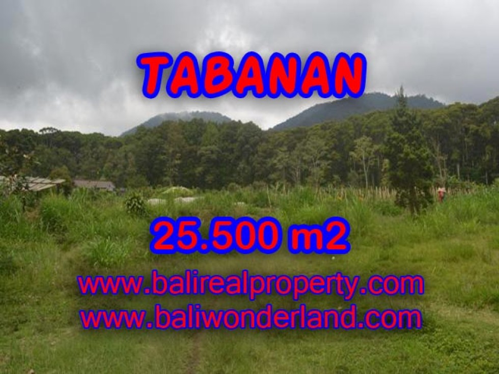 JUAL TANAH DI TABANAN BALI TJTB085