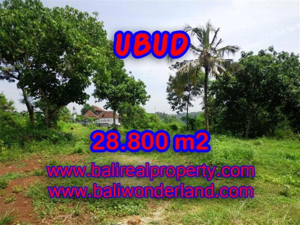 TANAH DIJUAL DI UBUD BALI TJUB366