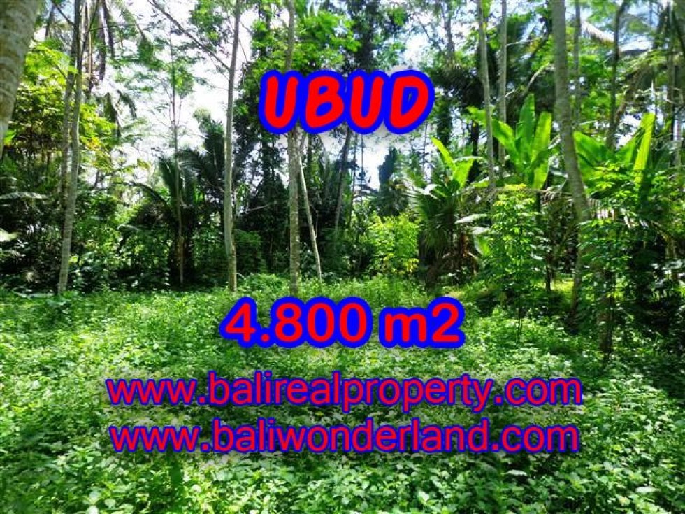 INVESTASI PROPERTI DI BALI – DIJUAL TANAH DI BALI, MURAH DI UBUD TJUB382